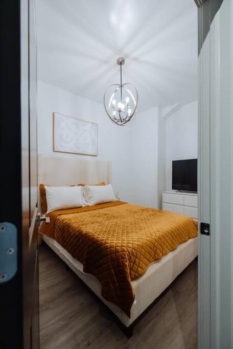 The Brown House - A luxurious UChicago Campus stay